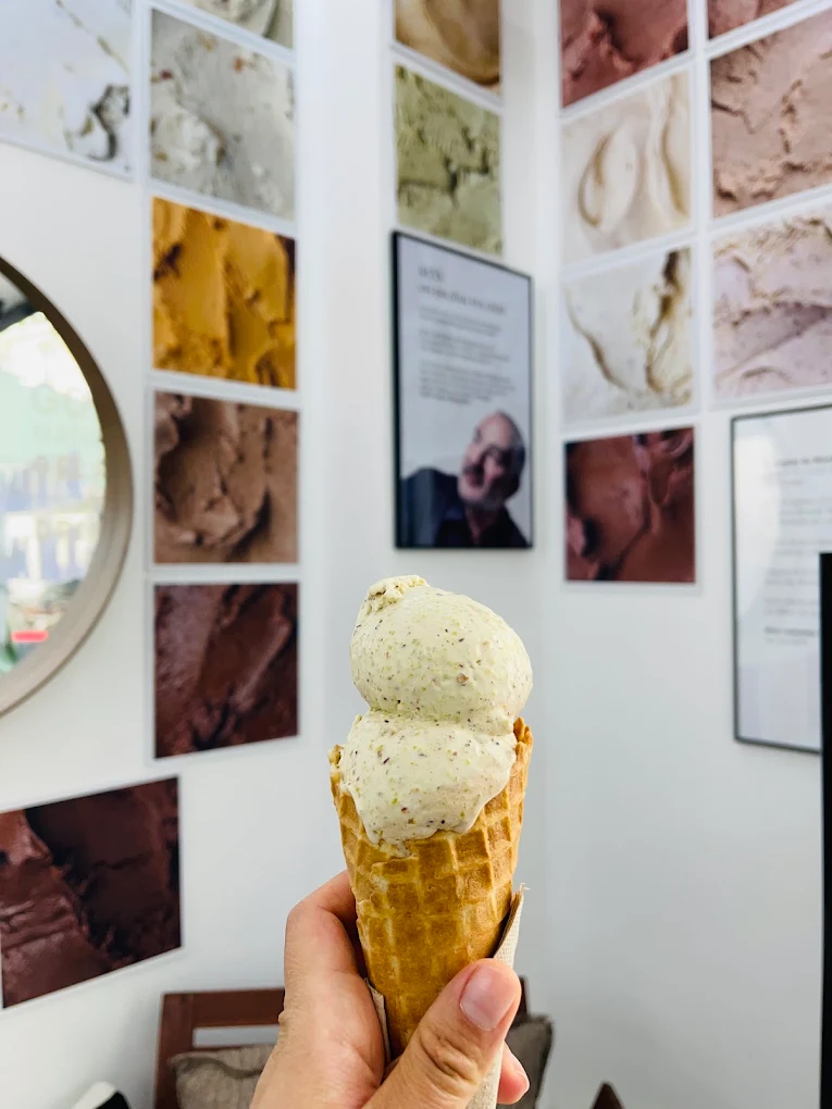 Reÿs Glaces Éternelles